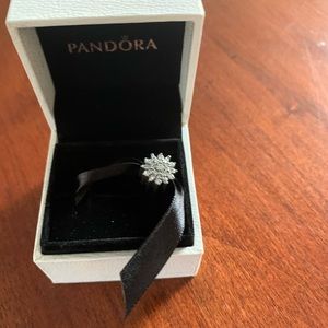 Pandora charms